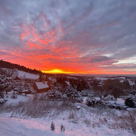 Вілла Pod Lesem Чєнковіце Екстер'єр фото
